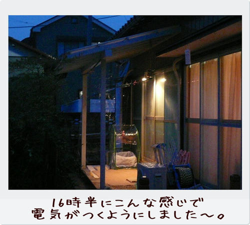img20081124223958152.jpg
