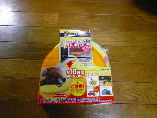 img20081128080321512.jpg