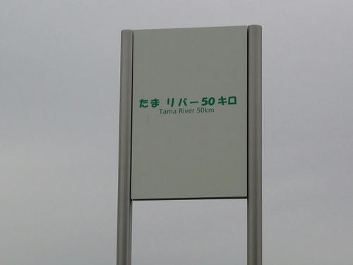 img20081128081618716.jpg