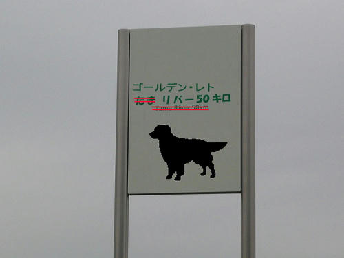 img20081128082104591.jpg