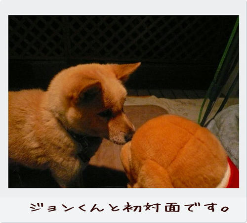img20081129185915311.jpg