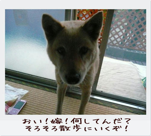img20081129190843126.jpg