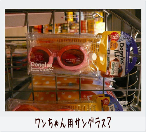 img20081129191927770.jpg