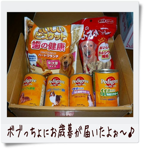 img20081228211118845.jpg
