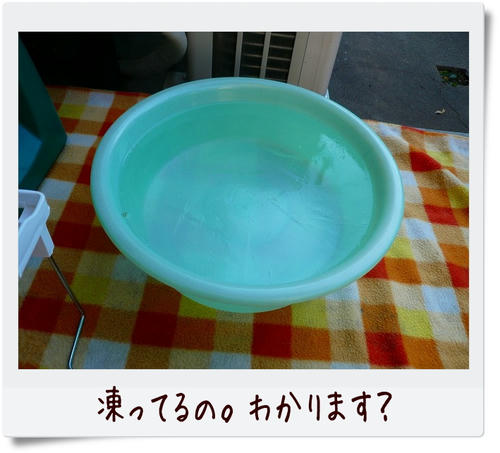 img20081229212612013.jpg