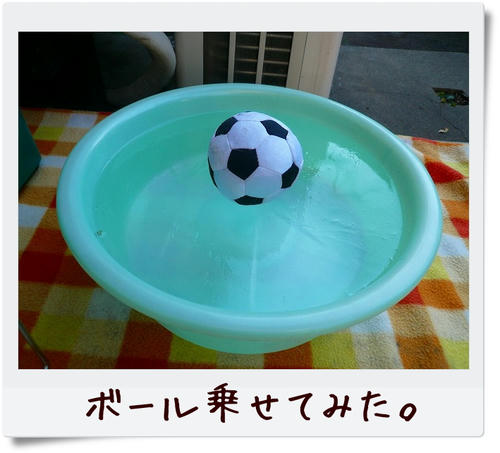 img20081229212823728.jpg