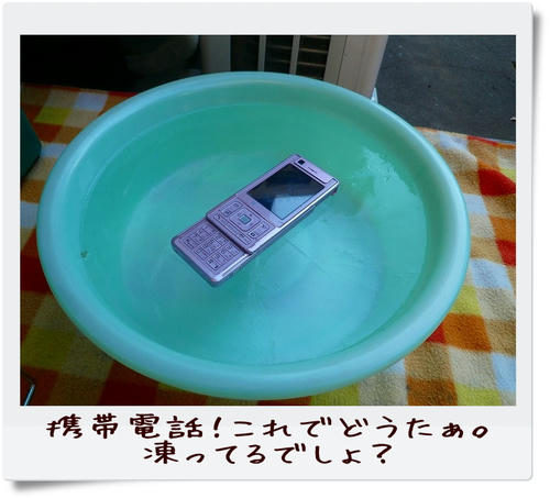img20081229212937583.jpg