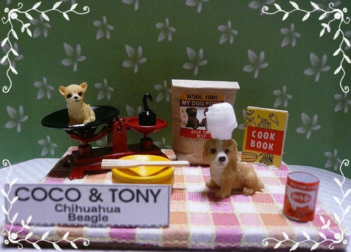 img20081019220858561.jpg