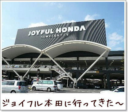 img20081018203743445.jpg