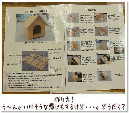 img20081018204751329.jpg