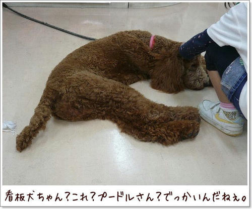 img20081018204857548.jpg