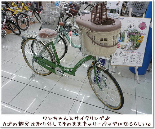 img20081018205007899.jpg