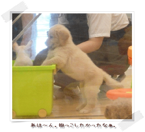 img20081013191053602.gif
