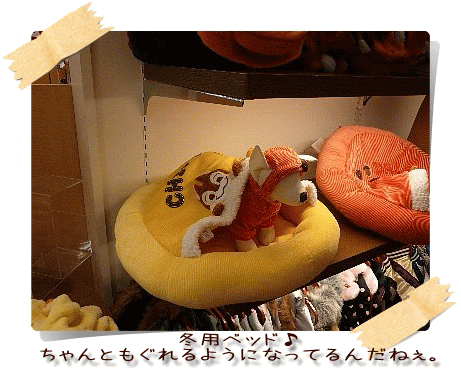 img20081013191219904.gif
