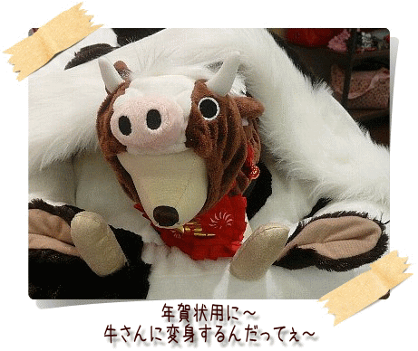 img20081013191327923.gif