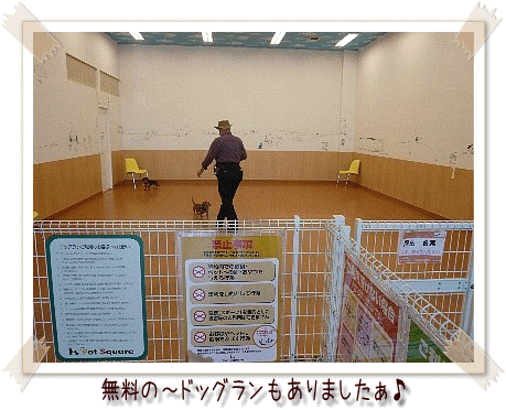 img20081013191500953.gif