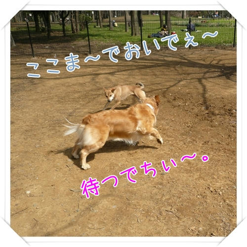 P1080619.JPG