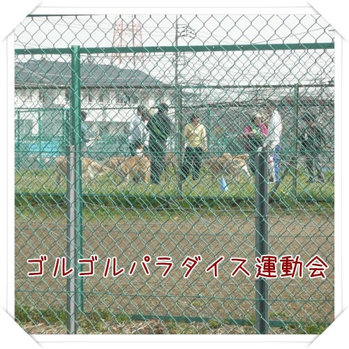 P1080667.JPG