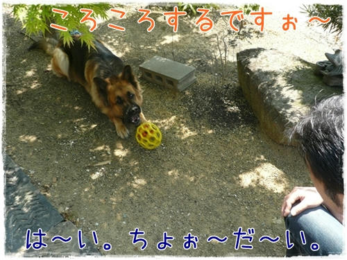 8.JPG