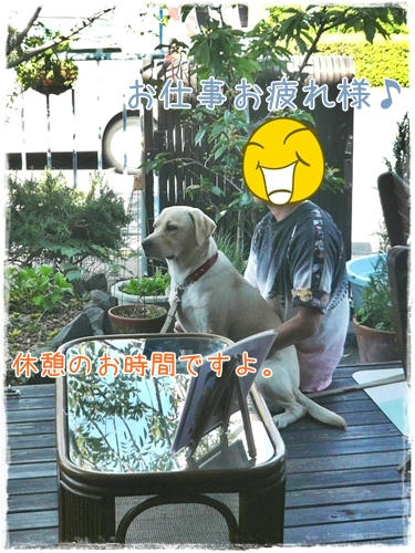 010.JPG
