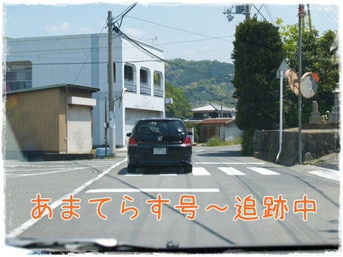 751cfa7d.JPG