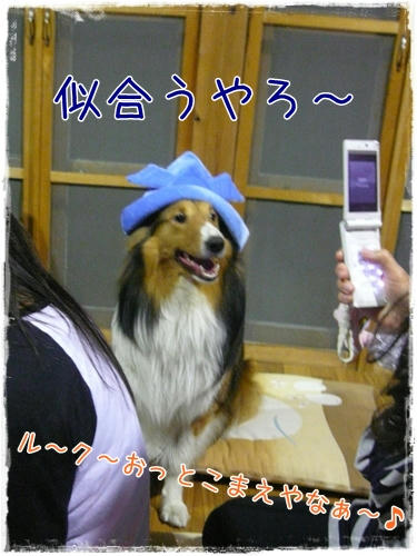 90503094.JPG