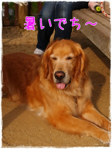 5c8df6d6.JPG