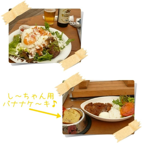 0301179e.jpg