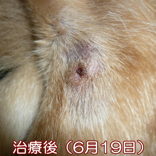 d48dbe8c.JPG
