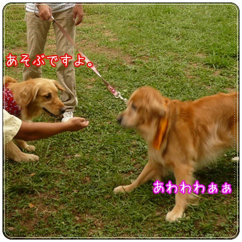 P1100146.JPG