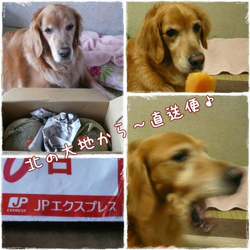 78cedec3.jpg