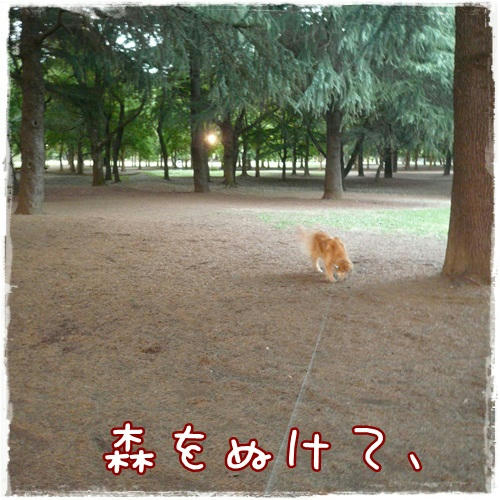 P1100600.JPG