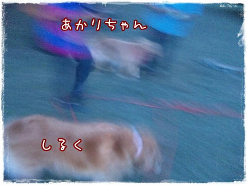 SBSH0198.JPG