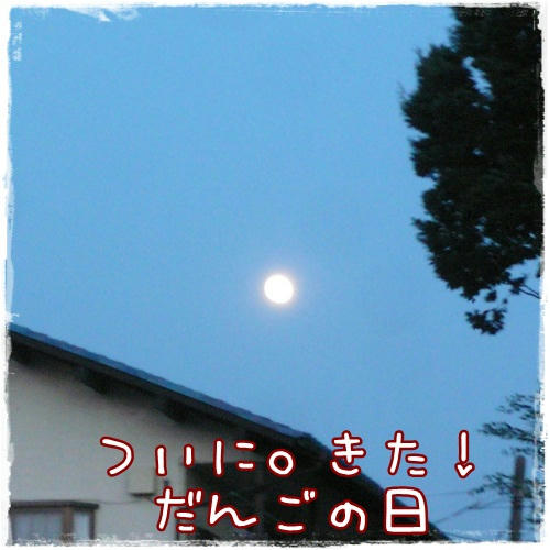 P1100892.JPG