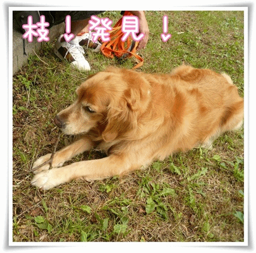 6a0b8387.gif