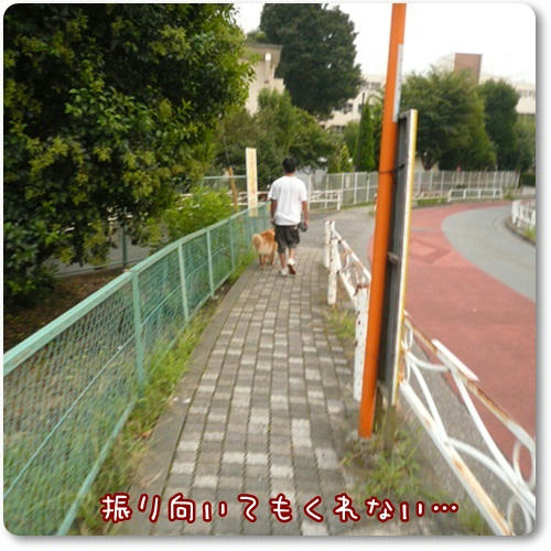 P1100873.JPG