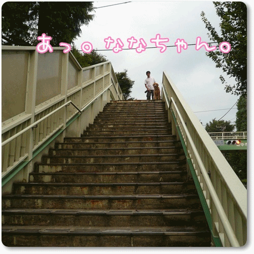 98535f4f.gif