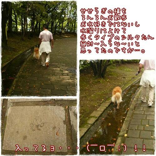 29119299.jpg