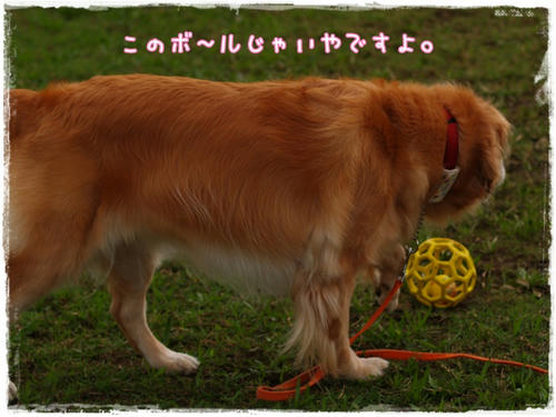 3cfec06d.JPG