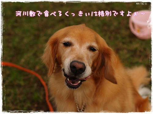 bd2d7aa8.JPG