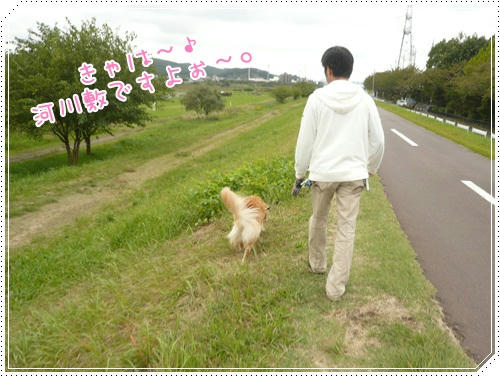 河川敷でルンルン