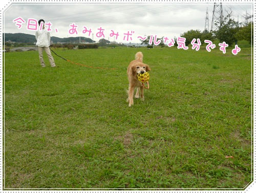 今日はあみあみボ～ル♪