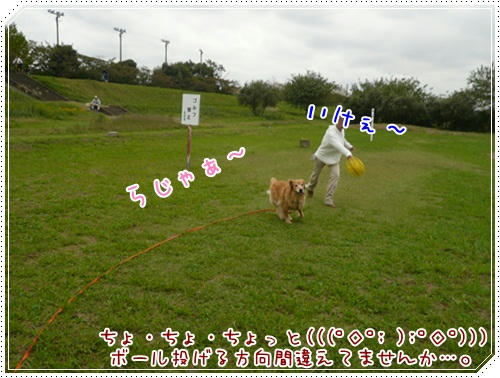 ちょ・ちょ・ちょっとぉ