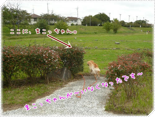 かくれんぼ？