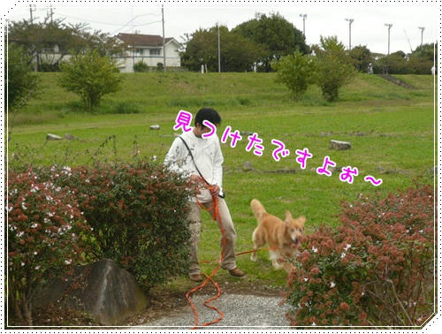 見つけました～