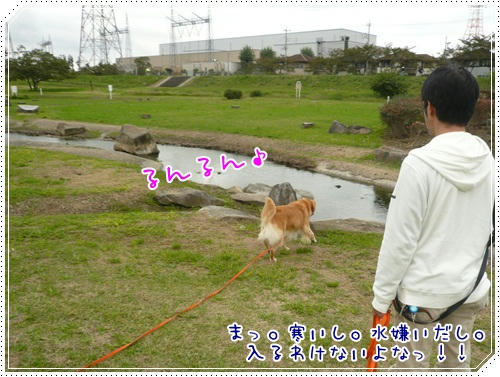 入水～？するわけないよねぇ～。