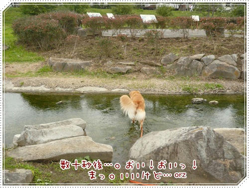入ってるがなぁ～