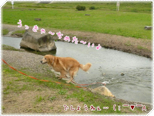 ちべた～い