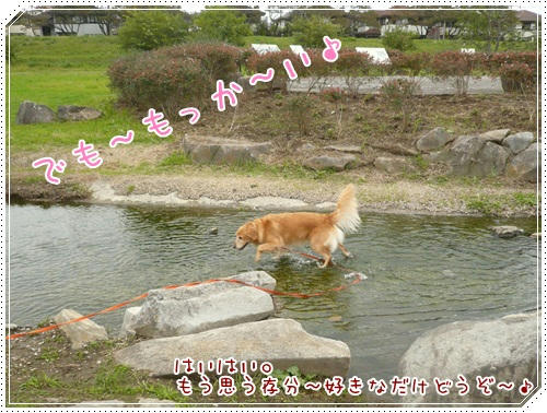 もういっか～い