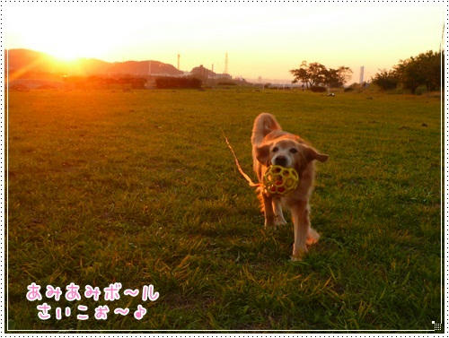 あみあみボ～ルさいこぉ～